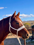 Double Cross Mule Tape Halter