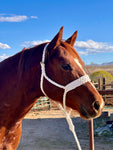 Double Cross Mule Tape Halter