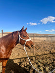 Double Cross Mule Tape Halter