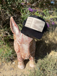Trucker Hat in Harding Tonal