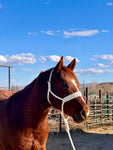 Double Cross Mule Tape Halter