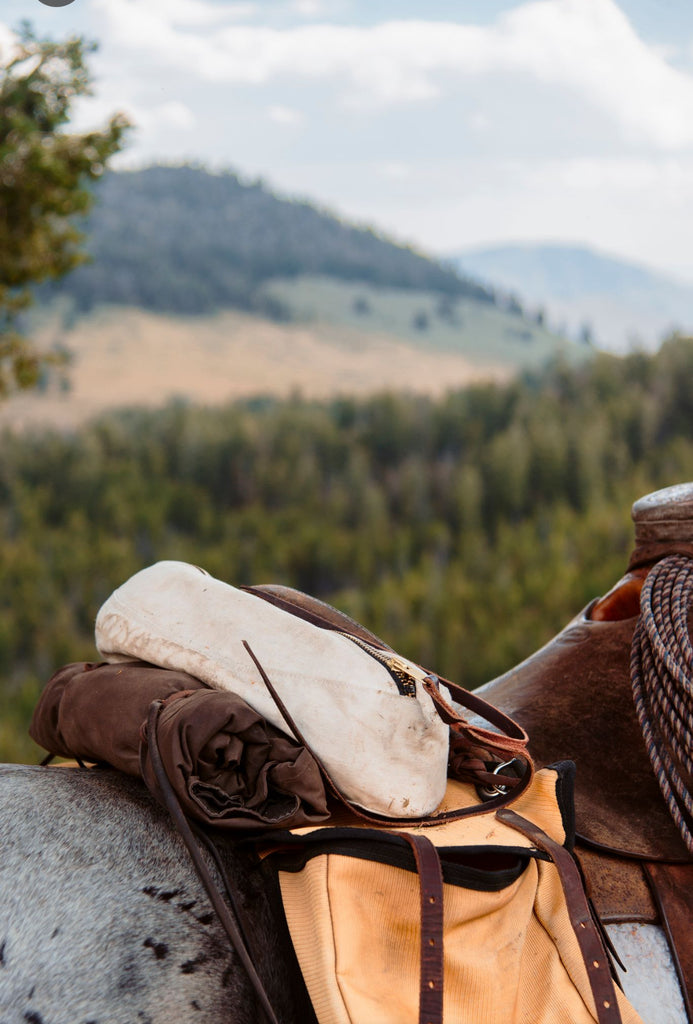 Western cantle bag online