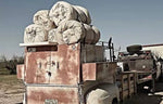 Five J bar D Bedrolls strapped to the top of a remodeled pickup bed trailer.